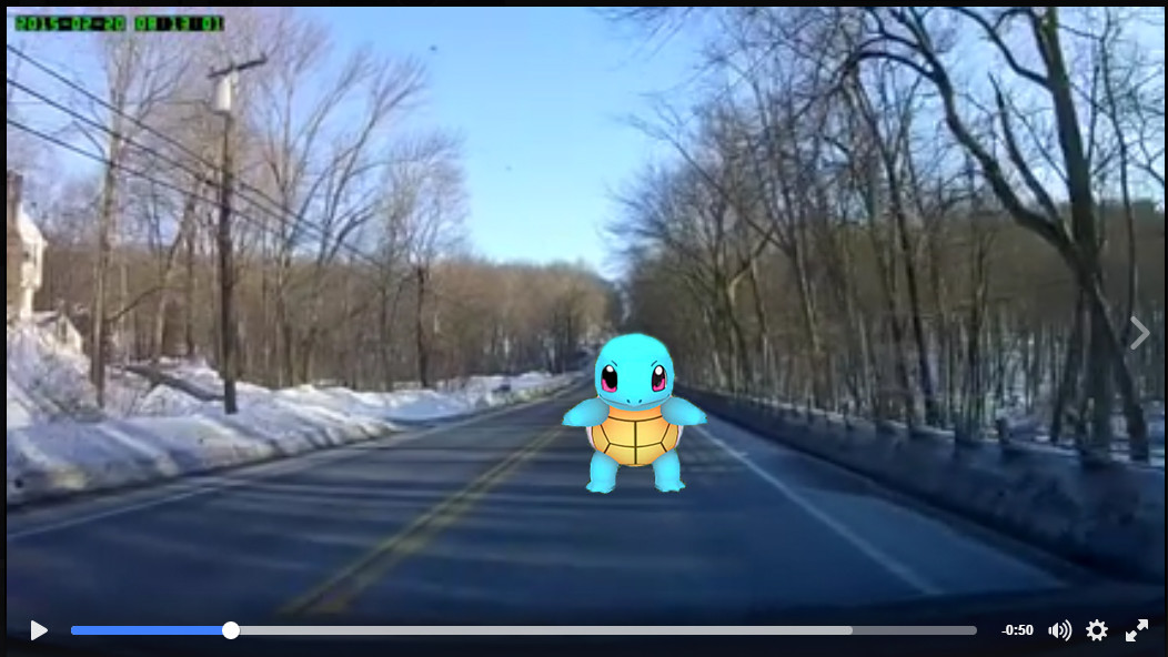 Squirtle Caught In Attempted Auto Insurance Fraud