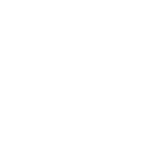 eye icon 2