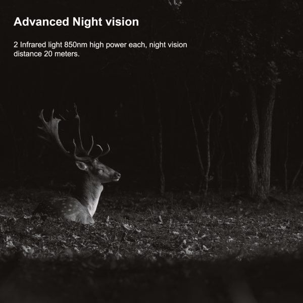 H2 Night Vision